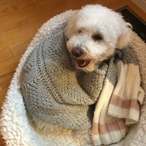 Meet your Posher, Marie-laurence